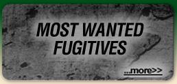 Most Wanted Fugitives