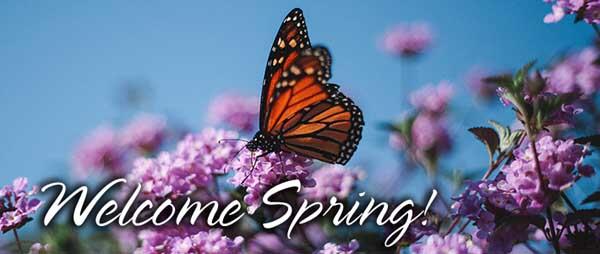 WELCOME SPRING PIC.jpg
