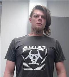 Mugshot of BEANE, MICHAEL