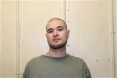 Mugshot of HODGES, TAYLOR