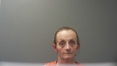Mugshot of DAVIS, CHRISTY